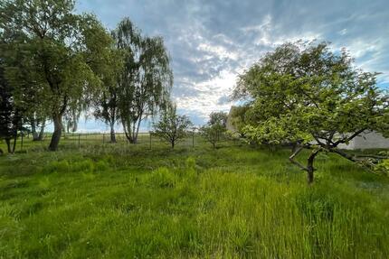 Uckermark - Baugrundstück in Angermünde