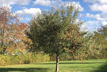 Wo das Land ruft und die Stadt nah ist – Ihr Platz zum Ankommen zwischen Meißen und Dresden! - Klipphausen Gauernitz