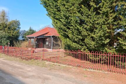 Großzügiges Haus voll unterkellert mit viel Nebengelass provifrei - Potsdam Krampnitz