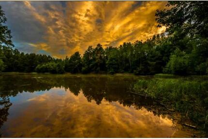 ⚓ Erholung am See: 4 Moderne Ferienwohnungen in MüdenÖrtze (Heide) - Faßberg