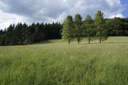 Grundstück zu verkaufen in Weilheim 88.000,00 € 12800 m²