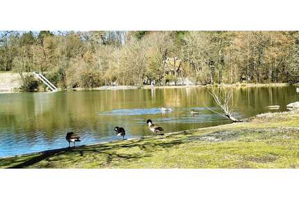 Wohnung zum Kaufen in München 569.000,00 € 79.5 m²