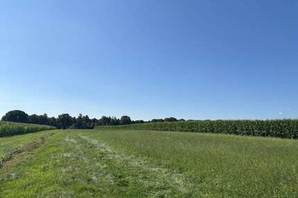 Grundstück in Edewecht 270.000,00 € 66754 m²