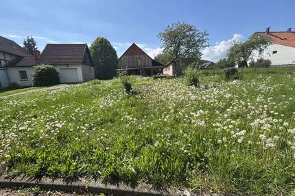 Grundstück zu verkaufen in Freden (Leine) 48.000,00 € 921 m²