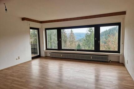 Helle 4,5 Zi-EGWhg in Zweifamilienhaus ,ruhige Lage Tennenbronn - Schramberg