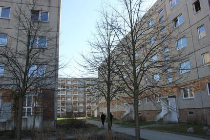 Frisch renoviert - Wohnen im Ostseeviertel Ryckseite - Greifswald Eldena