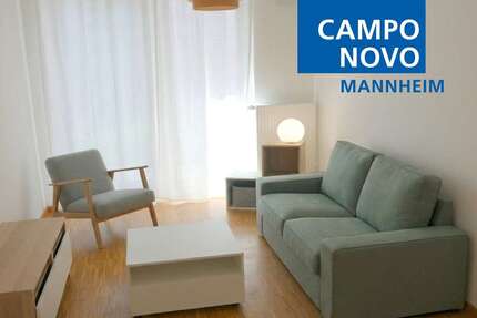 Wohnung zum Mieten in Mannheim 960,00 € 41.95 m²