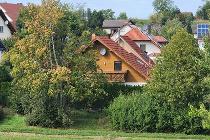 Modernes, lichtdurchflutetes Einfamilienhaus - Tiefenbach