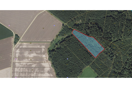Grundstück zu verkaufen in Biberach 27.000,00 € 9037 m²