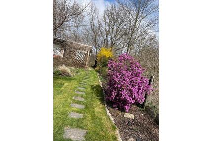 Gartengrundstück, Zwickau Oberhohndorf - altersbedingte Abgabe