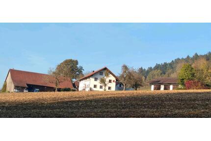 Haus Alleinlage Bauernhaus Zweifamilien gewerbl. Nutzung - Schwarzach