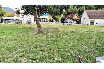 Grundstück zu verkaufen in Münstertal 890.000,00 € 1976 m²