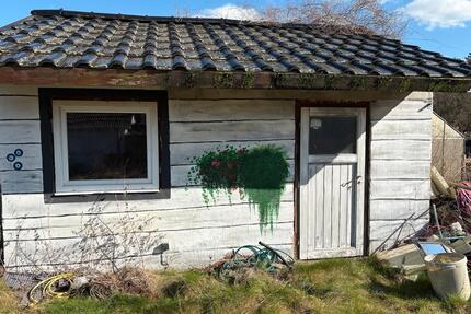 Kleingarten im Kleingartenverein Heidacker zu verpachten - Rheine Altenrheine