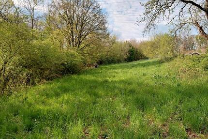 Wiese, Freizeitgrundstück, Stückle - Neuenstadt am Kocher