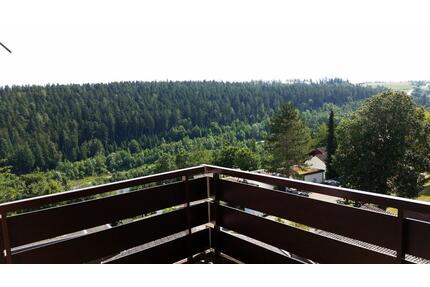 Helle & gemütliche 1,5-Zi.-Whg in Altensteig, Hausmeister, Balkon