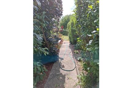 Pachtgarten - 2.450,00&nbsp;EUR Kaltmiete, ca.&nbsp; 0,00&nbsp;m&sup2; in Dessau-Roßlau (PLZ: 06846)