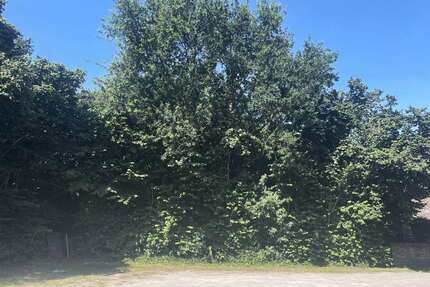 Grundstück zu verkaufen in Voerde 120.000,00 € 578 m²