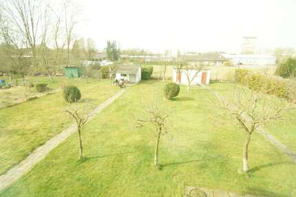 Haus zum Kaufen in Cloppenburg 297.000,00 € 210 m²