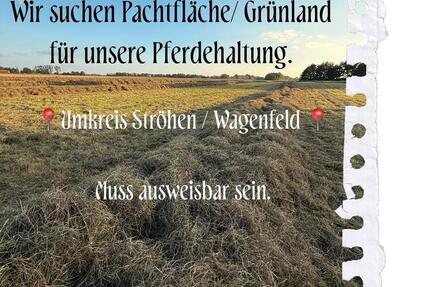 Pachtfläche, Grünland, Weideland - Wagenfeld