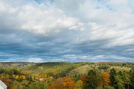 Wunderschöne sanierte Penthouse-Wohnung - Riedenburg