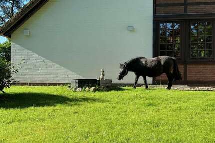 Haus zum Kaufen in Winsen Luhdorf 1.300.000,00 € 340 m²