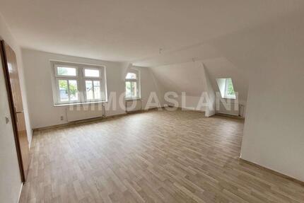 3-Raum Wohnung stylische Wohnung mit Charme und Stadtparkblick in Limbach-Oberfrohna