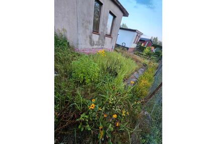 Garten (Kleingarten) 300qm - 430,00&nbsp;EUR Kaltmiete, ca.&nbsp; 0,00&nbsp;m&sup2; in Schwerin (PLZ: 19057) Friedrichsthal