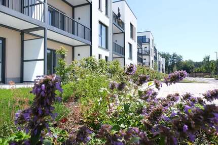 Wohnung zum Mieten in Höhr-Grenzhausen 504,00 € 42 m²