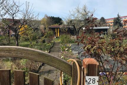 Verwunschener Kleingarten in Gohlis Nord abzugeben - Leipzig