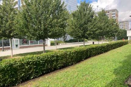 Wohnung zum Mieten in Erfurt 373,00 € 52.56 m²