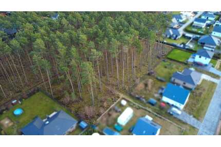 Grundstück zu verkaufen in Borkwalde 259.000,00 € 1163 m²