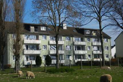 Wohnung zum Mieten in Werl 570,00 € 80 m²