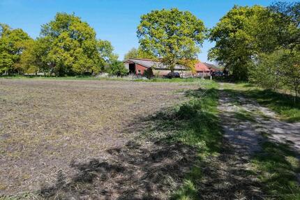 Ackerland 3,9753 ha - 7,00&nbsp;EUR Kaltmiete, ca.&nbsp; 0,00&nbsp;m&sup2; in Rhauderfehn (PLZ: 26817)