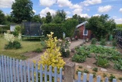 Gepflegter Pachtgarten Brenneckestraße - Magdeburg Hopfengarten