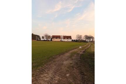 Frisch sanierte 3-Zimmer-Wohnung in Mackendorf - Bahrdorf