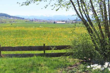 Haus zum Kaufen in Dietmannsried Probstried 885.000,00 € 205 m² - Dietmannsried / Probstried