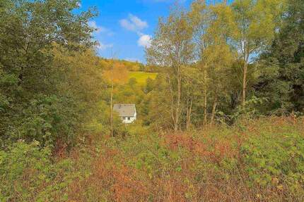 Attraktives Hanggrundstück mit Panoramablick in Winterberg-Silbach
