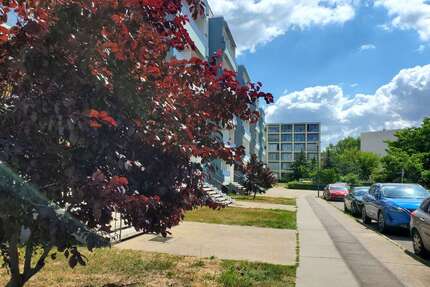 Wohnung zum Mieten in Halle 335,00 € 56 m²