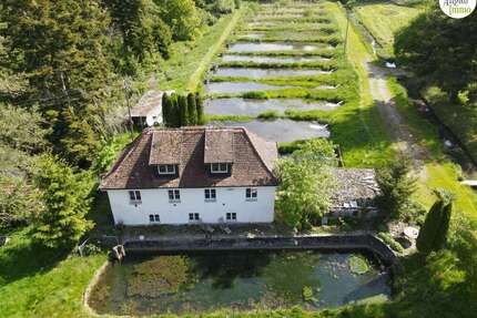 Haus zum Kaufen in Ochsenhausen 1.180.000,00 € 140 m²