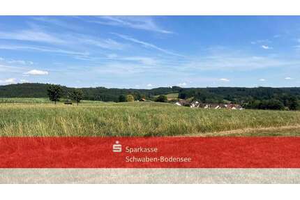 Grundstück in Mickhausen 222.000,00 € 44342 m²