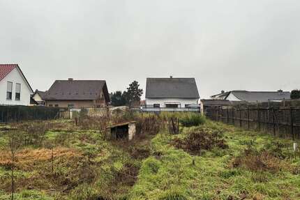 Haus zum Kaufen in Maxdorf 562.500,00 € 153 m²