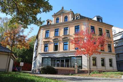 Wohnung zum Mieten in Zwickau 300,00 € 34.5 m²