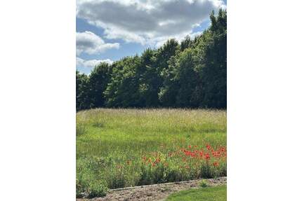 Baugrundstück in Niederwerrn - Ortsrand