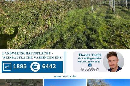 Landwirtschaftsfläche Weinbaufläche - Vaihingen an der Enz