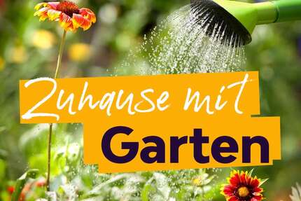 Wohnung zum Mieten in Zwickau 289,00 € 61.2 m²