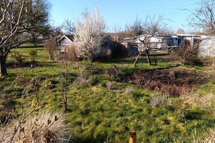 Kleingarten Parzelle KGV 