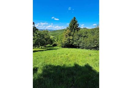 Freizeitgrundstück zur Pacht (Schnait) - Weinstadt