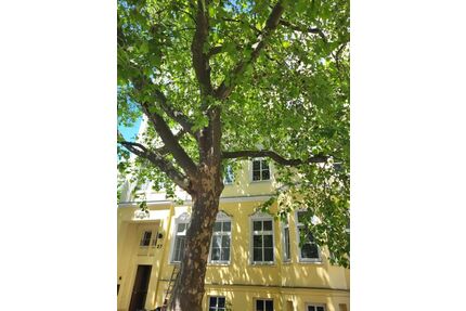Provisionsfrei* Von Privat - Traumhafte Altbauwohnung 4-Zi auf 116m2 Lift im Herzen v. Berlin-Mitte