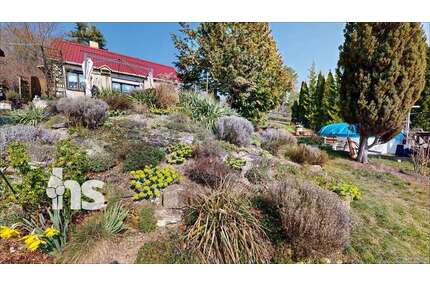 Haus zum Kaufen in Freyburg 49.900,00 € 42 m²