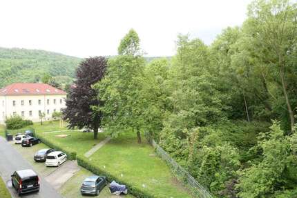 Wohnung zum Mieten in Pirna 337,92 € 51.2 m²